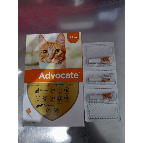 Advocate Obat Tetes Kutu Kucing Up to 4kg(1 Box)