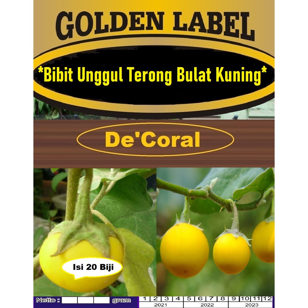 Bibit Terong Bulat Kuning | Benih Terong Kuning | Terong Herbal |Terong Hutan