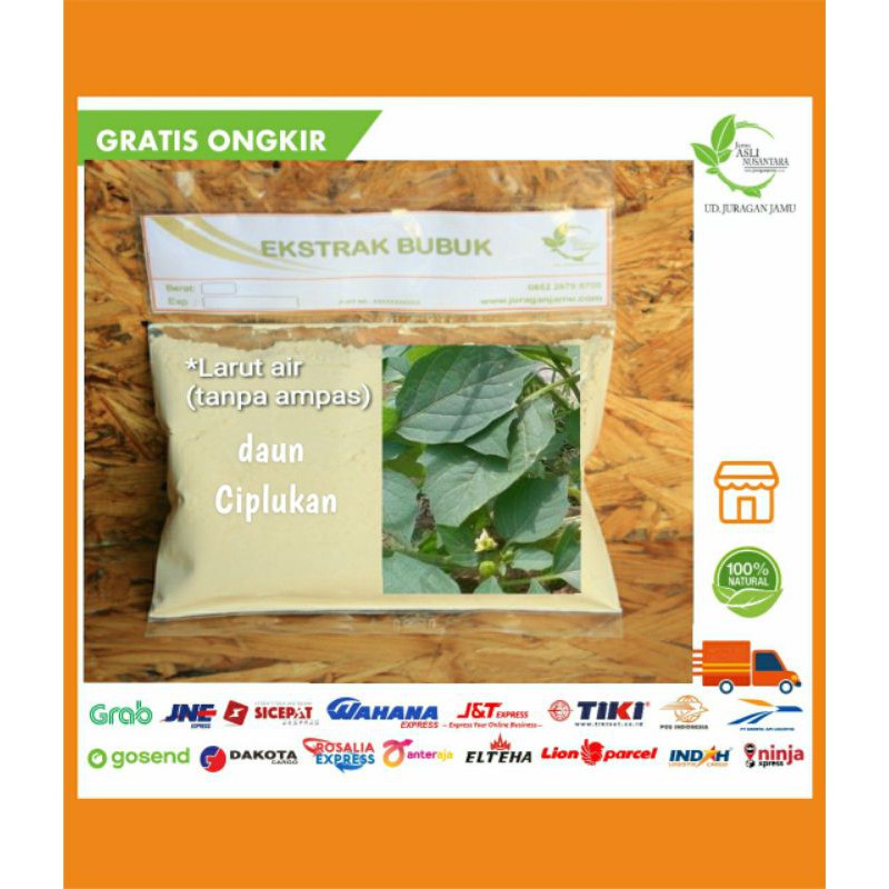 

Daun Ciplukan Ekstrak bubuk serbuk