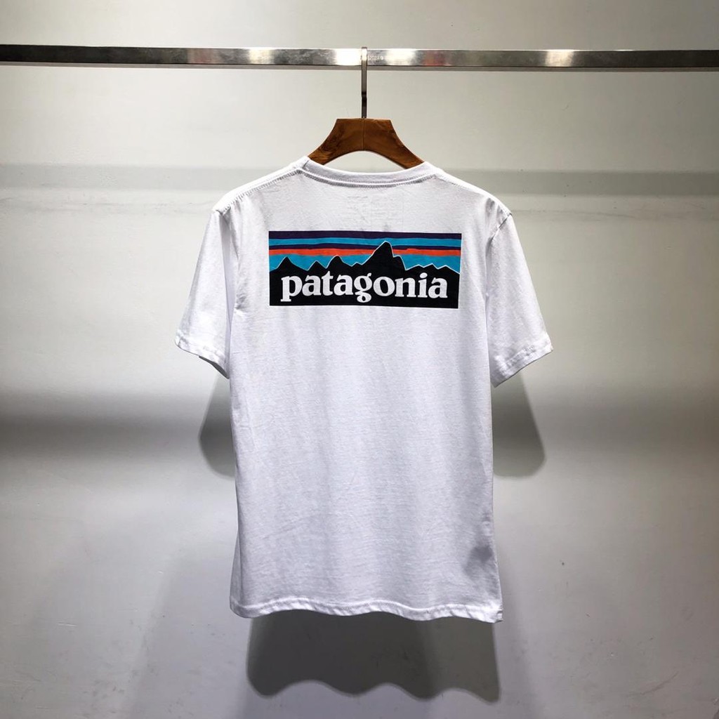 gray patagonia shirt