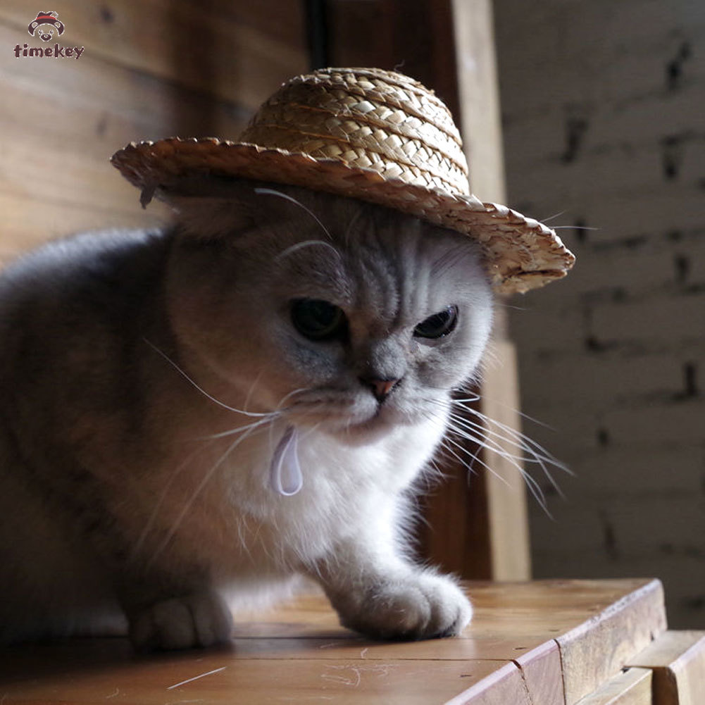 【TK】Topi Jerami Mini Untuk Aksesoris Anjing/Kucing Peliharaan