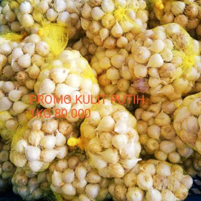 

Promo Bawang Putih Tunggal Kulit Putih 1KG