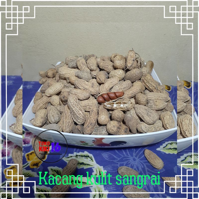 

kacang kulit sangrai