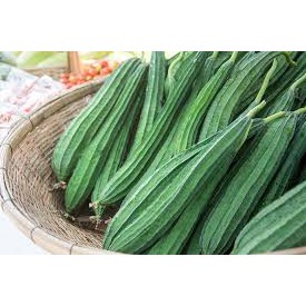 

Sayur Oyong Segar Fresh 500gr