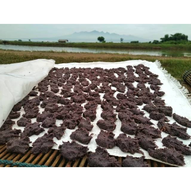 

Trasi jembret lebih nikmat dari trasi udang rebon