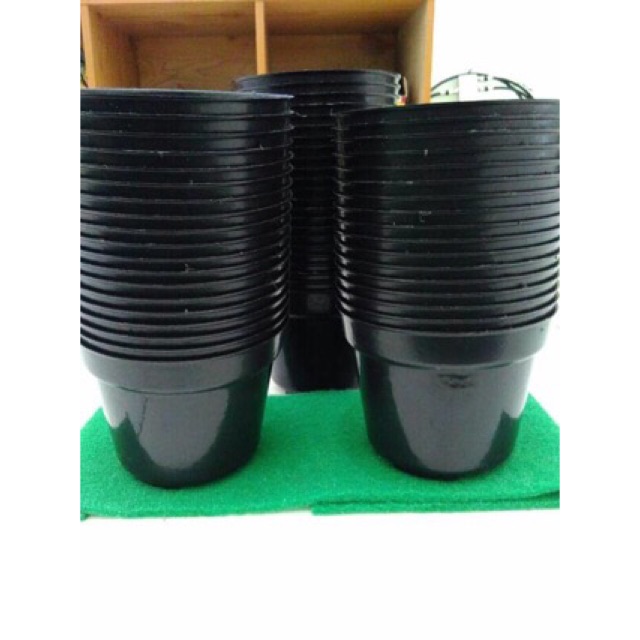  Pot  Bibit Plastik  15cm Pot  Grosir Bunga  Shopee Indonesia 