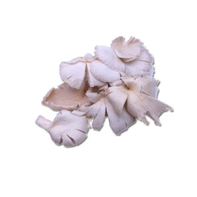 

Jamur Tiram 250 gr Toko Sayur Segar