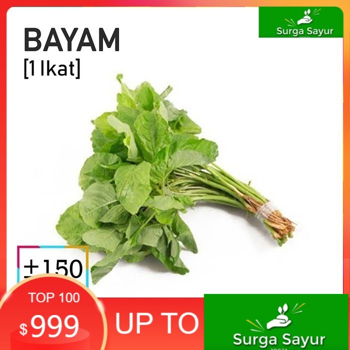 

SURGA SAYUR DAUN BAYAM HIJAU SAYUR [1 Ikat, ±150g] SEJABODETABEK BISA KIRIM INSTANT DGN GOSEND/ GRAB