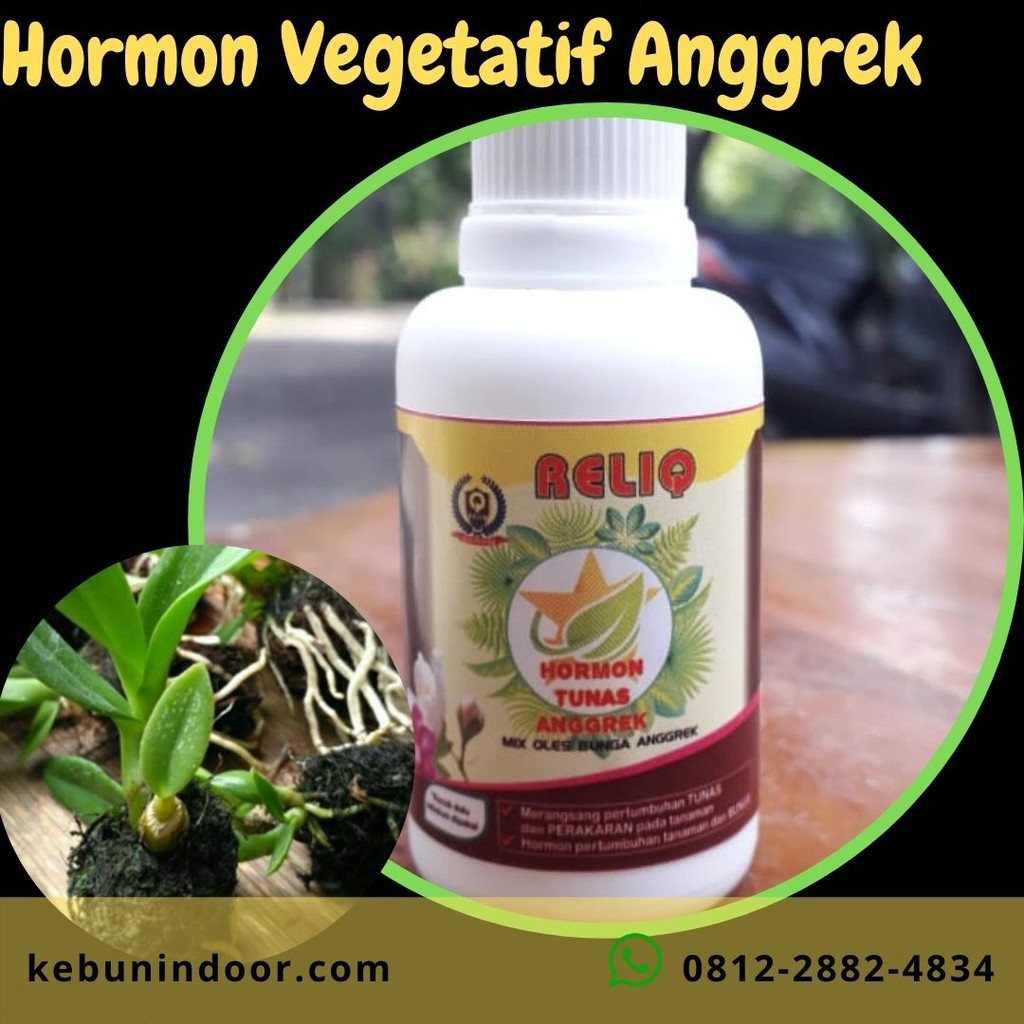 Hormon Anggrek Penumbuh Tunas, Obat Hormon Pertumbuhan /Tunas Anggrek