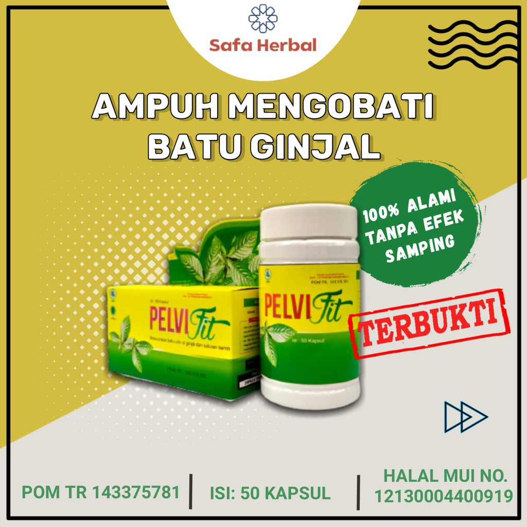 Pelvifit Obat Batu Ginjal Empedu Kandung Kemih Infeksi Saluran Kemih Original Ampuh 50 Kapsul 004