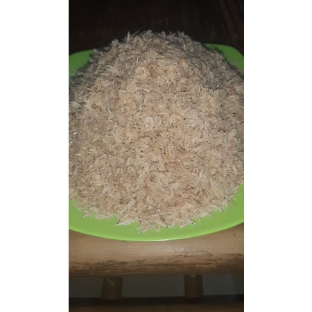 

Udang Rebon Tawar