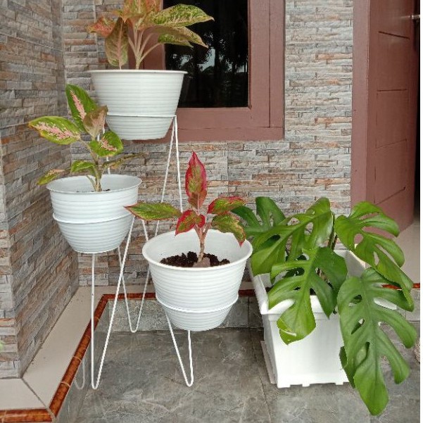 TINGGI 60CM Standing Pot 3in1 / POT DUDUK 3 LUBANG