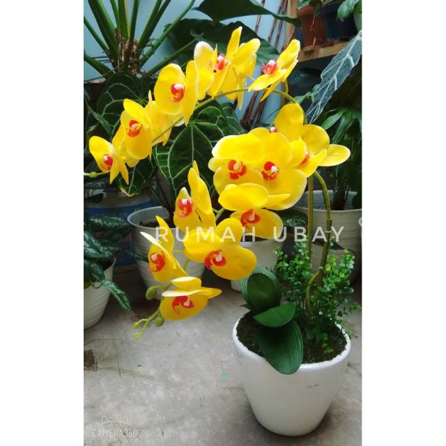 ANGGREK LATEX / ANGGREK BULAN LATEX 3D JUMBO VAS TEMBIKAR PUTIH