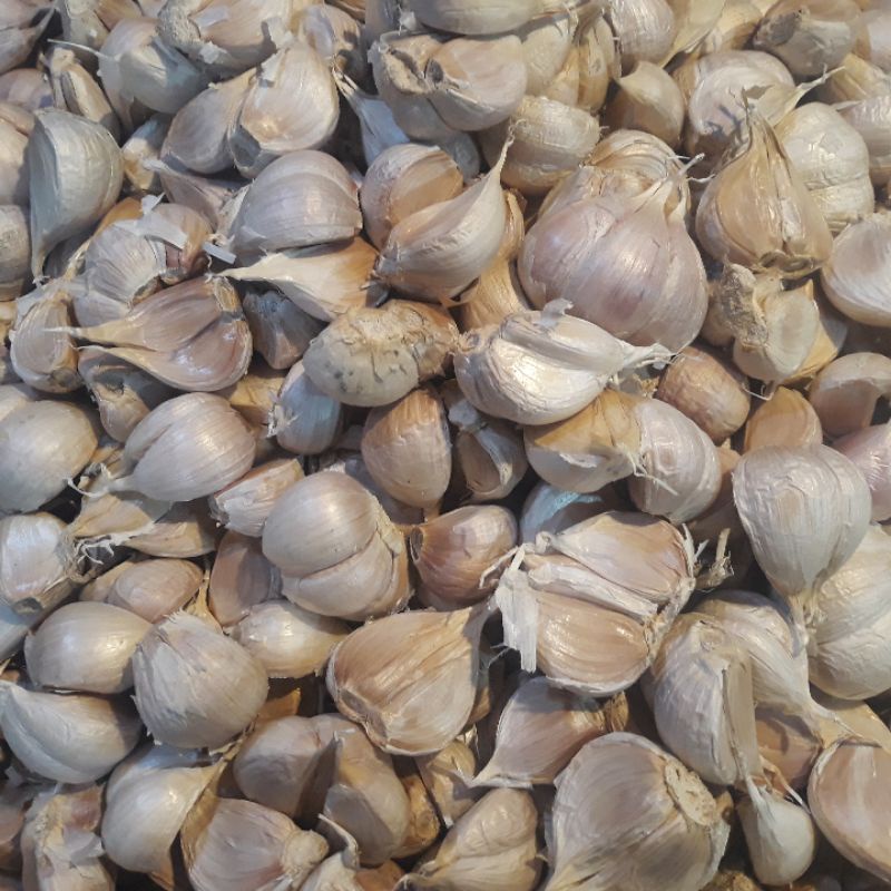 

bawang putih petikk 1kg
