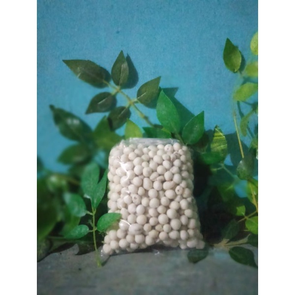 

Kacang Atom
