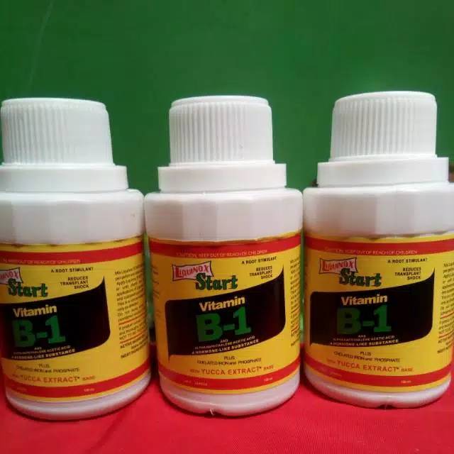 Pupuk Liquinox B1 / pupuk B1 / hormon B1 / Pupuk vitamin B1 / liquinox start vitamin B 1