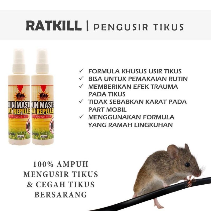 Klin master rat killer pengusir tikus original 100%