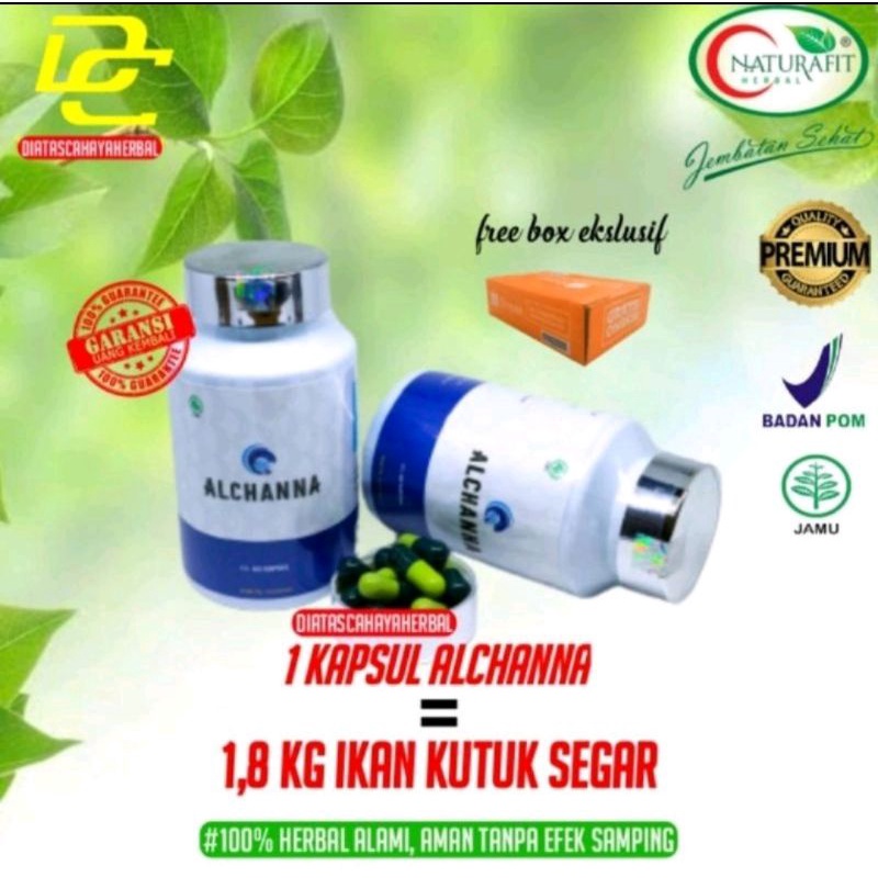 ORIGINAL KAPSUL KUTUK PREMIUM ALCHANNA, ALBUMIN, EKSTRAK IKAN GABUS, IKAN KUTUK IKAN GABUS OBAT LUKA OPERASI SESAR CESAR GROSIR TERMURAH