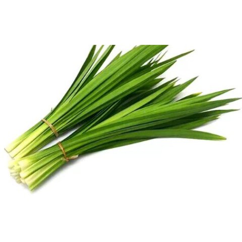 

Daun Pandan 1 ikat