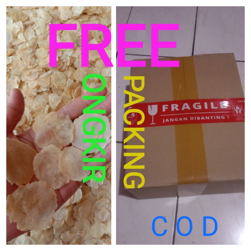EMPING MELINJO MENTAH 1 KG UKURAN KECIL (BIJI 1) TIPIS & KERING SUPER PREMIUM ASLI MANCAK CILEGON BA