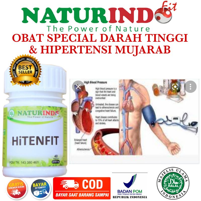 OBAT DARAH TINGGI OBAT HERBAL HITENTIF PENURUN DARAH TINGGI MANJUR