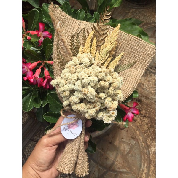Bucket bunga kering / Buket bunga kering edelweis untuk wisuda ulang tahun