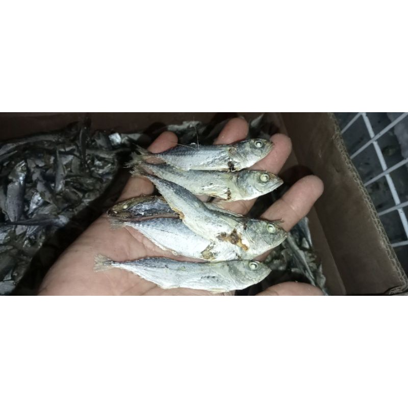 

ikan rebus kecil medan harga per 1/4