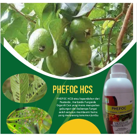 obat ulat buah jambu air-obat Hama penggerek batang jambu air- obat ulat jambu air-pestisida jambu-p