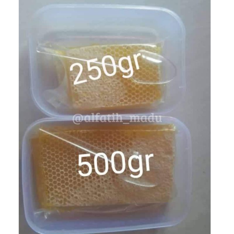 

Madu Sarang / Sarang Madu / Melifera