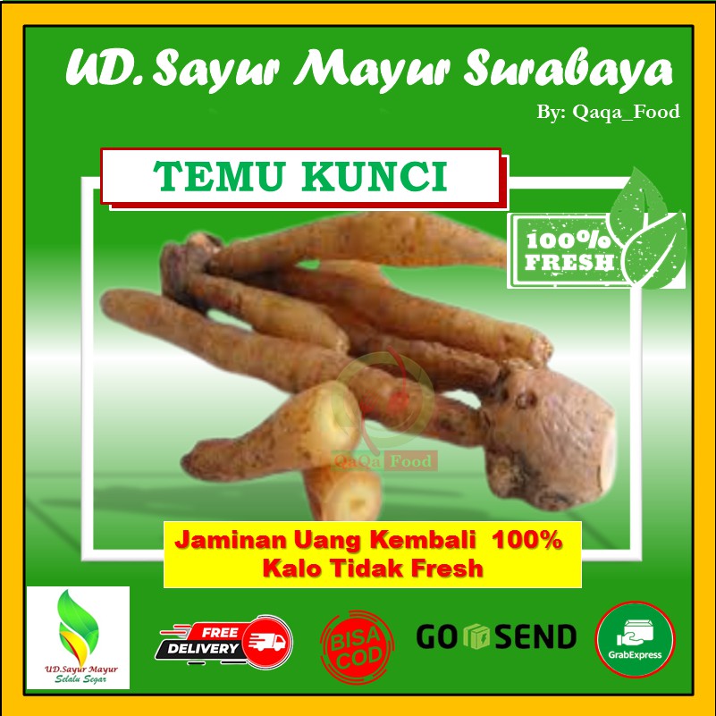 

TEMU KUNCI EMPON EMPON SAYUR MAYUR ONLNE SURABAYA 100 GRAM - UD177