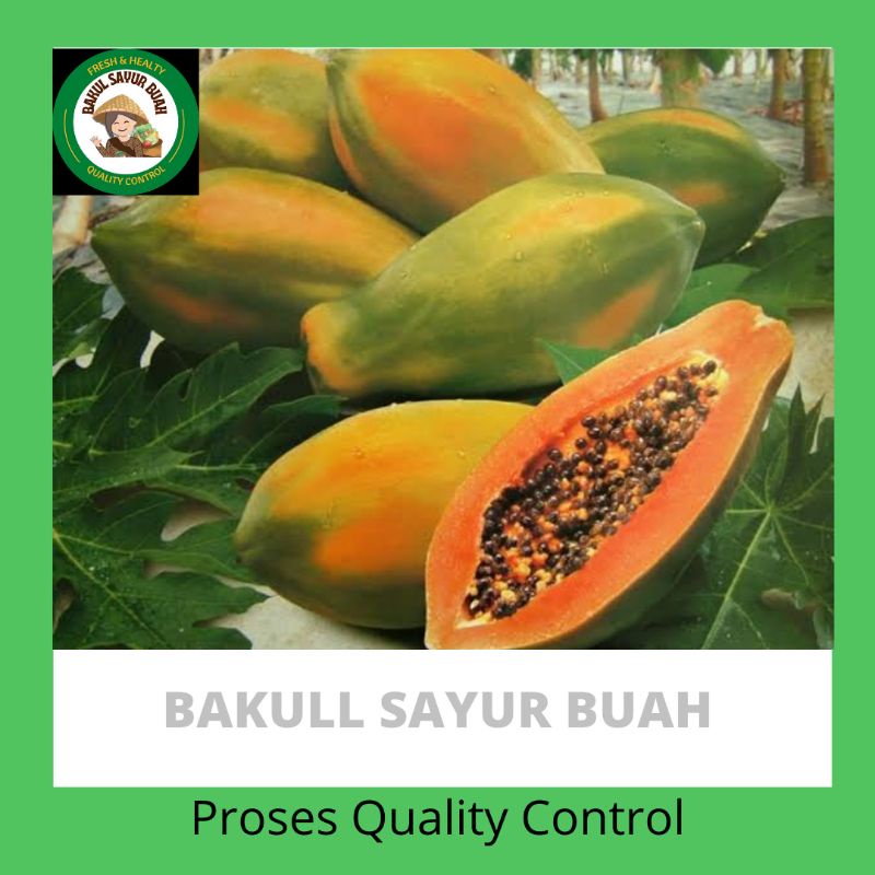 

BUAH PEPAYA BANGKOK PER PCS