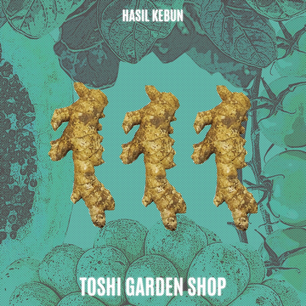 

JAHE 250 GR (HASIL KEBUN)