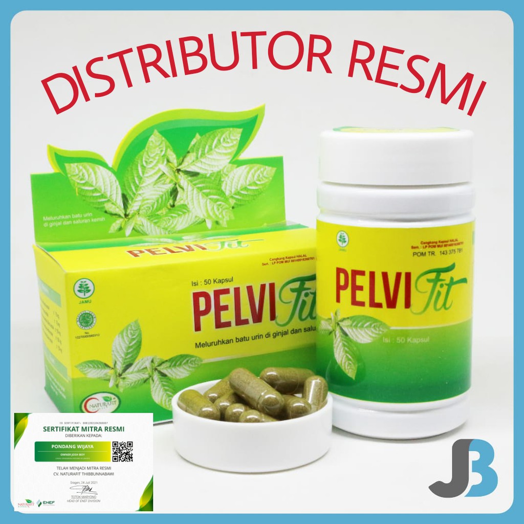 Pelvifit NATURAFIT HERBAL Obat Batu Empedu Gagal Ginjal Saluran Kemih