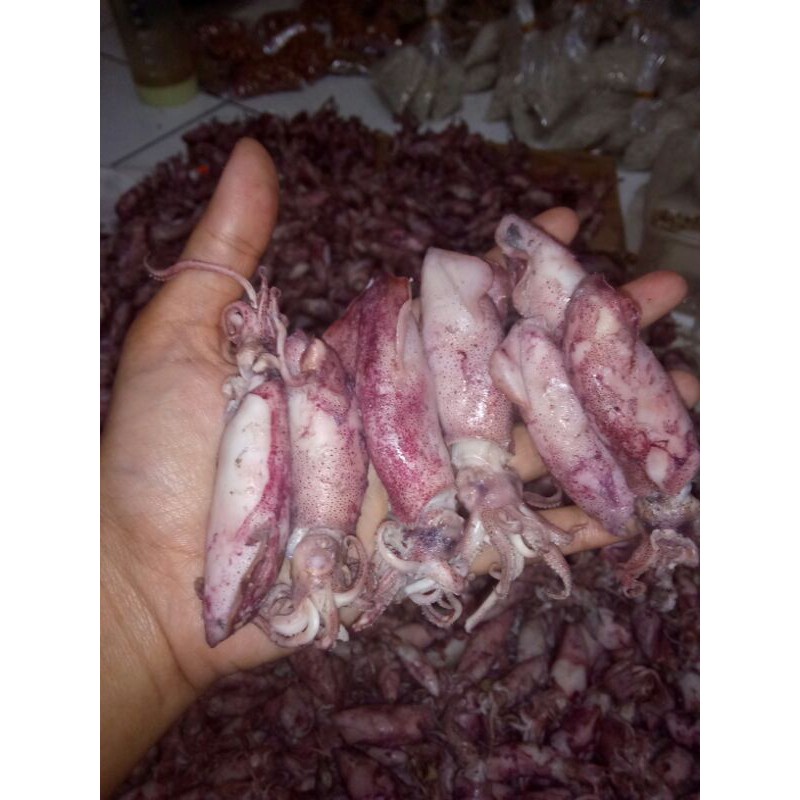 

Cumi Asin Telor - 250 Gram / Sayur Segar / Ikan Asin Segar