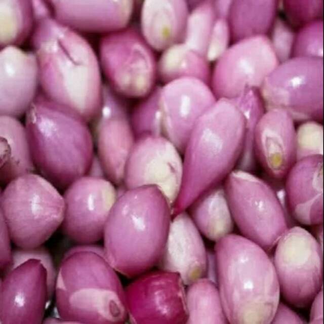  Bawang  merah kupas  Shopee Indonesia