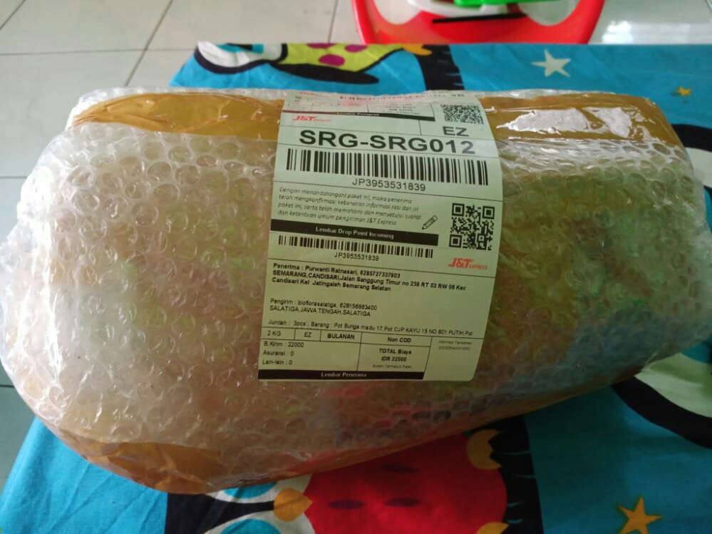 Pot Lavenia 18 Pg-8832 Warna Warni