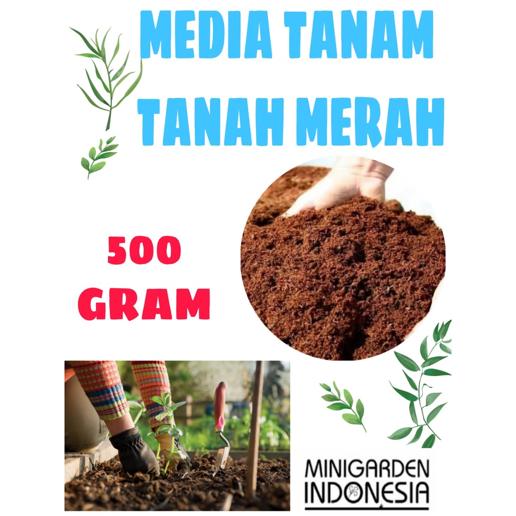 ECER TANAH MERAH MURNI SUPER 500GRAM media tanam subur siap pakai