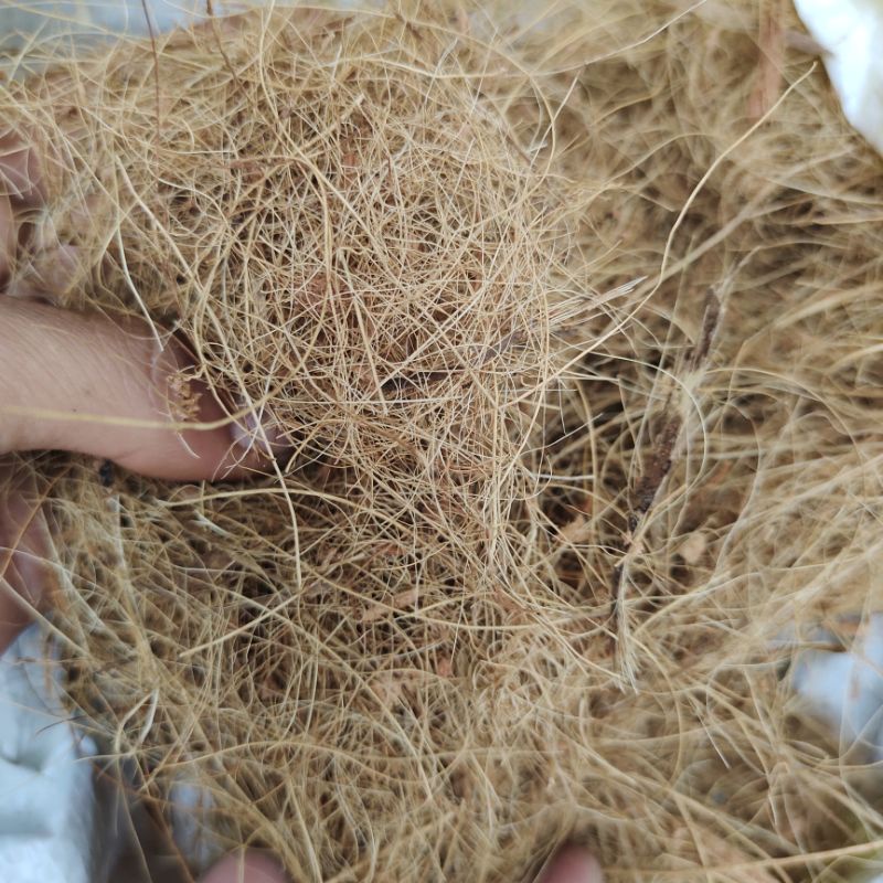cocofiber 1 kg bersih