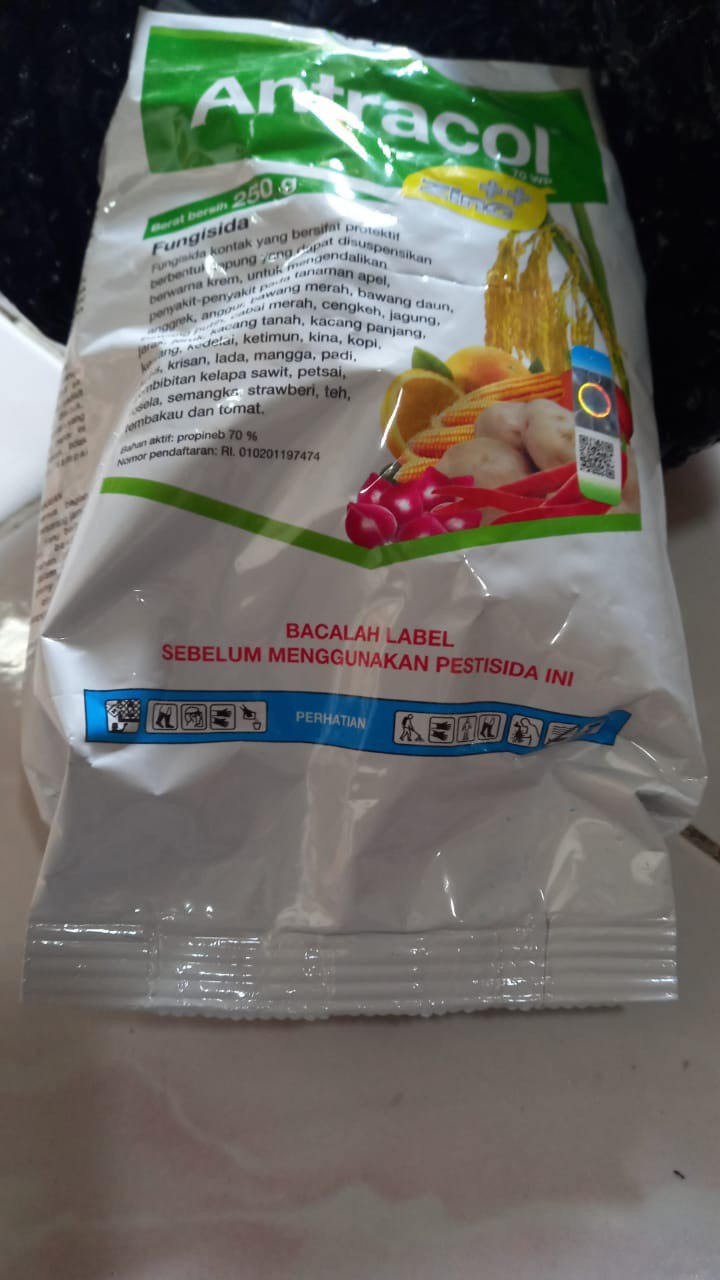 Fungisida Antracol 250 Gram