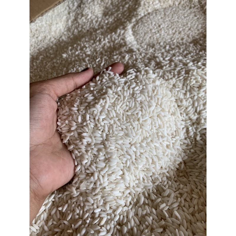 

PASAR ONLINE MURAH - KETAN PUTIH 1liter