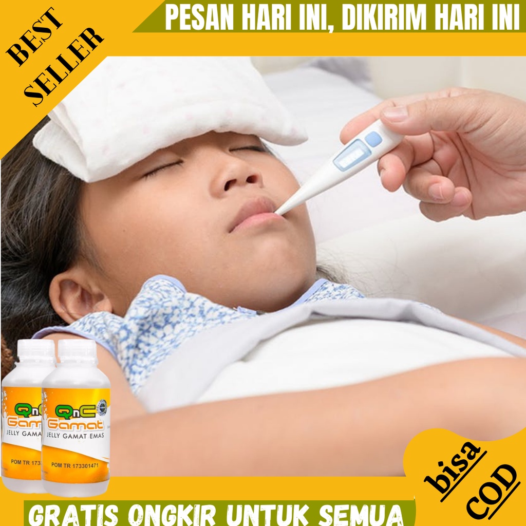 Obat Tipes Tipus Tifus Thypus Herbal