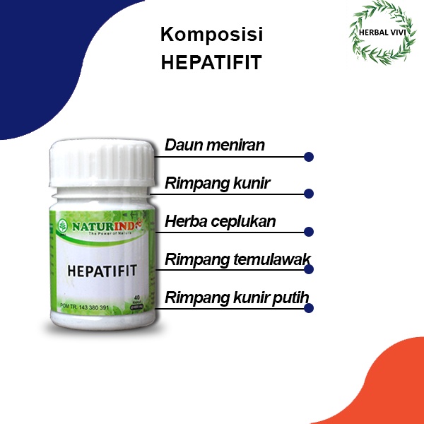 HEPATIFIT obat herbal batu empedu memperbaiki organ hati dan liver nyeri perut kanan dan pencernaan-2