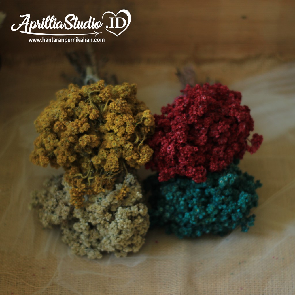 DRIED FLOWER | BUNGA KERING | EDEL - MEDIUM