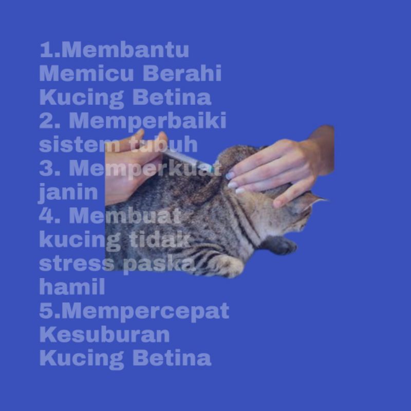 Vitamin Suplemen Kucing Untuk (birahi Betina)  A+B1 by uky amino