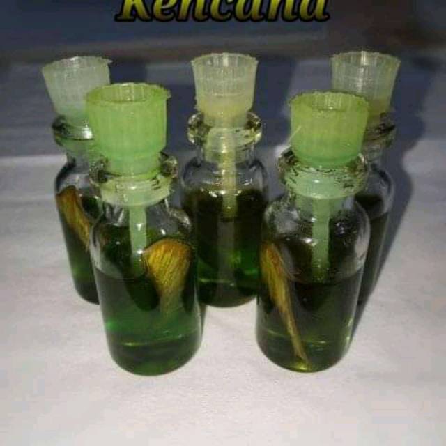 

MINYAK KULIT KIDJANG KENCANA