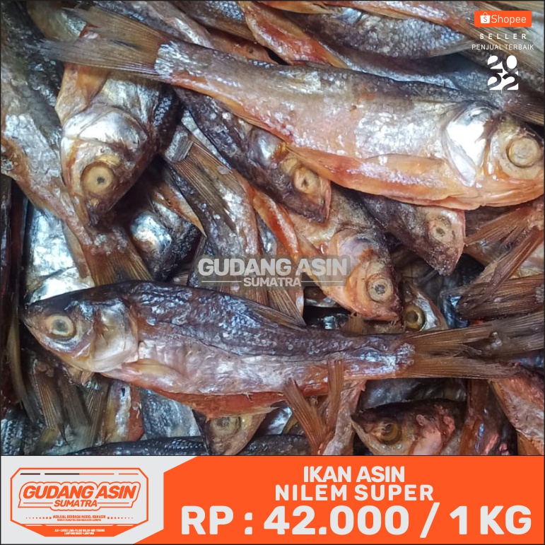 

ikan asin nilem super