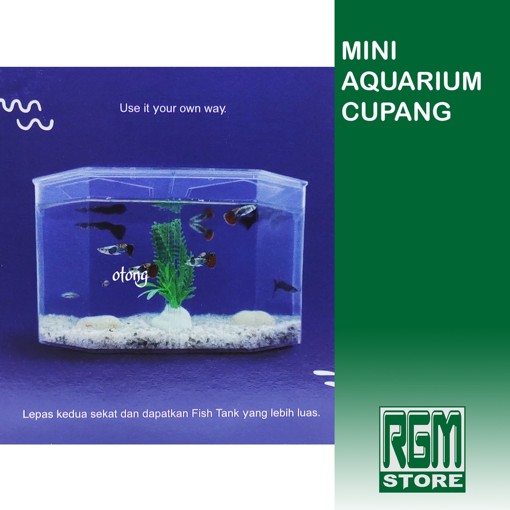 Mini aquarium presisi single double sekat ikan cupang hias fish tank