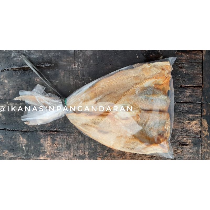 

IKAN ASIN JAMBAL ROTI SUPER (ADA KEPALA & TULANG) ASLI PANGANDARAN