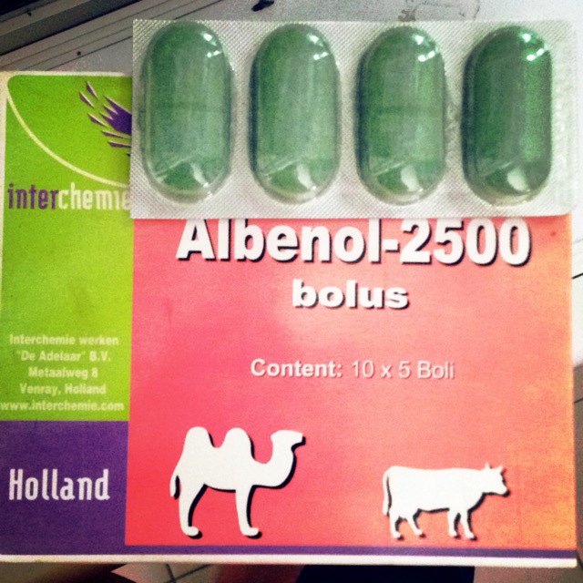 Obat Cacing Sapi Babi Albenol 2500bolus Ecer 1kaplet Shopee