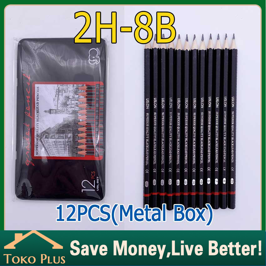 

12 psc Set Pensil Sketsa Dng Kotak Logam Arang Graphite Grafit Profesional art alat lukis gambar